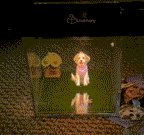 Lovimor Hologram Projector Memorial Box (Phone needed)