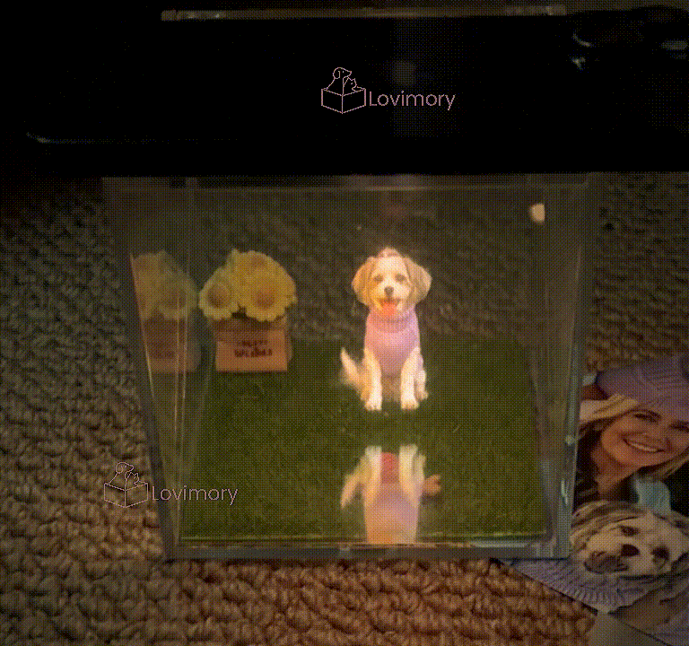 Lovimor Hologram Projector Memorial Box (Phone needed)
