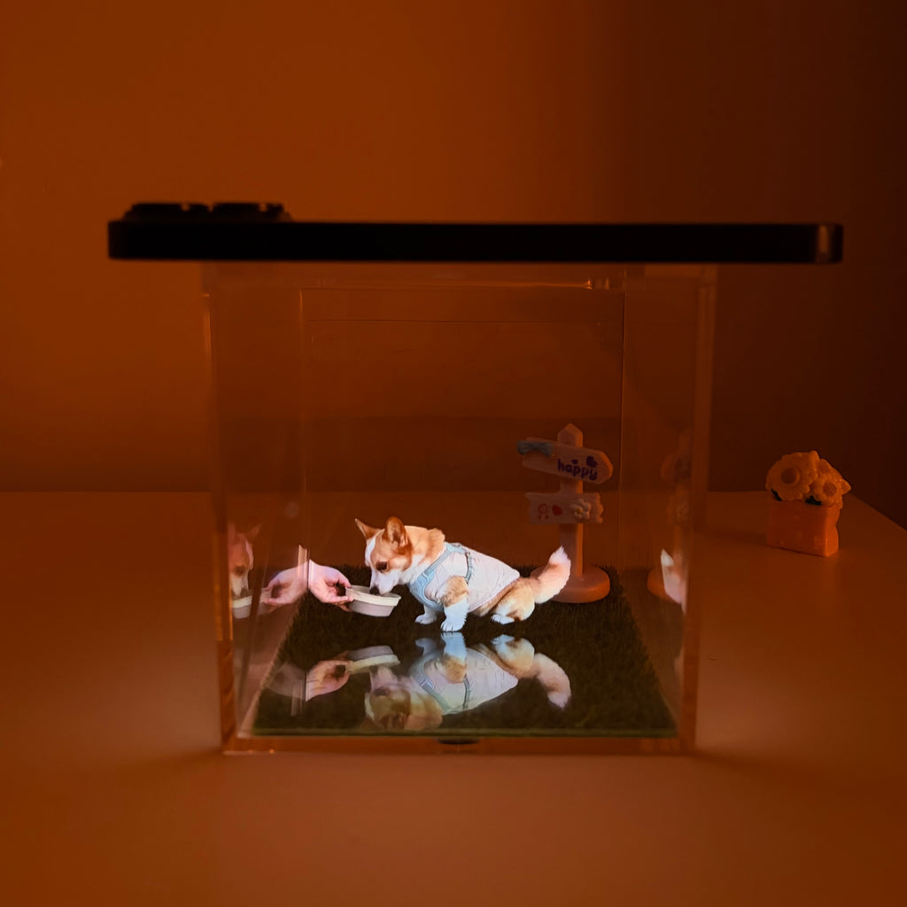 Lovimor Hologram Projector Memorial Box (Phone needed)