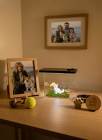 Lovimor Hologram Projector Memorial Box (Phone needed)