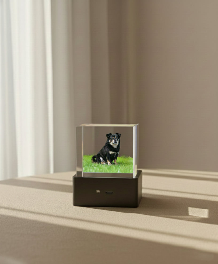 Lovimory One-Tap Memorial Box - Pet Hologram Projector (No Phone Needed) - Pre order