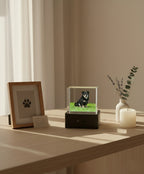 Lovimory One-Tap Memorial Box - Pet Hologram Projector (No Phone Needed) - Pre order