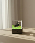 Lovimory One-Tap Memorial Box - Pet Hologram Projector (No Phone Needed) - Pre order