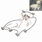 Funny Silly Style Custom Pet Portrait - Digital